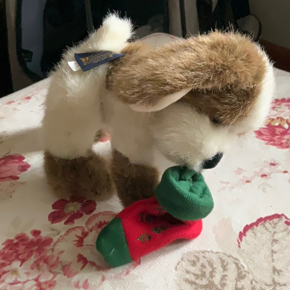 Piddles - Picture 3 of 7